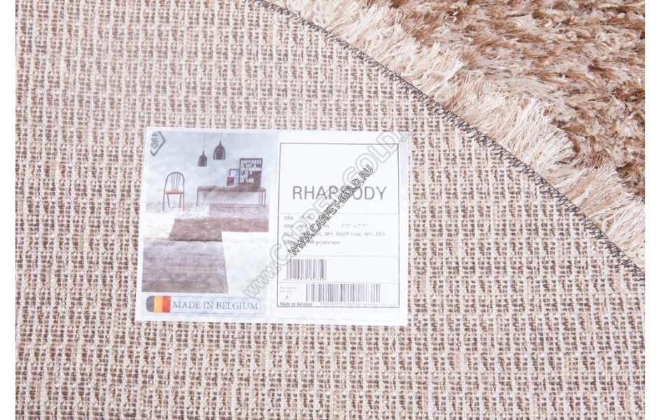 Бельгийский ковер Rhapsody 2501-102 Oval длинноворсовый пушистый